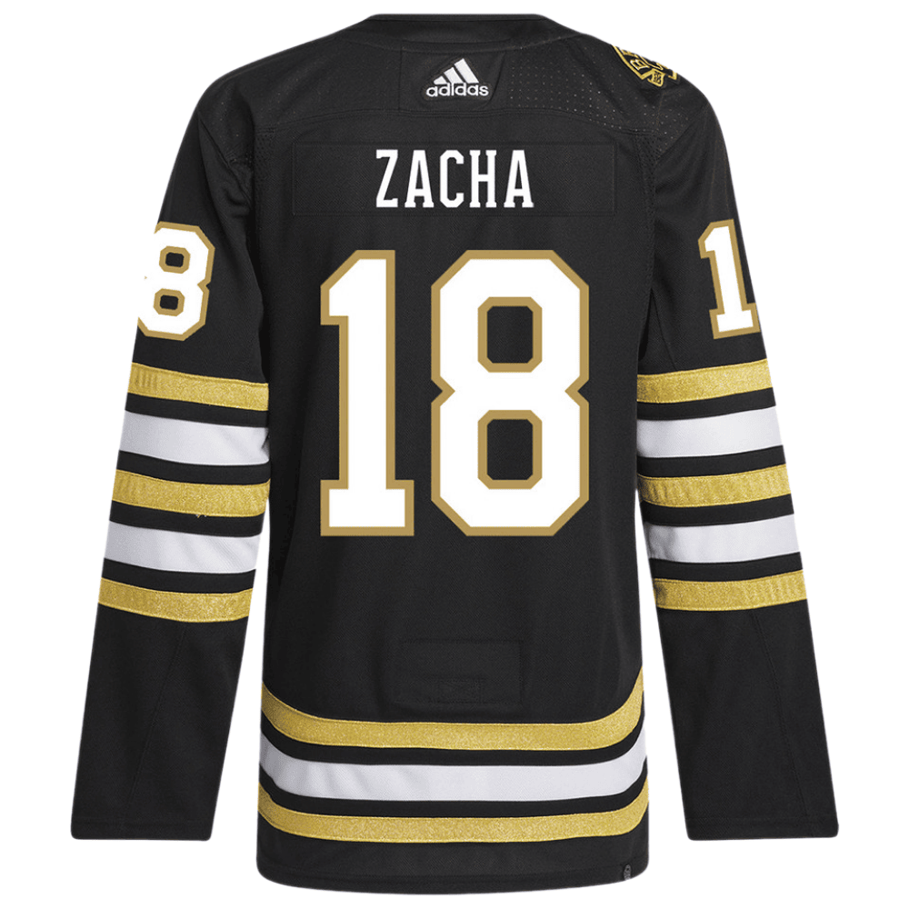 Pavel Zacha 18 Boston Bruins 100th Anniversary Primegreen Home Men Jersey - Black